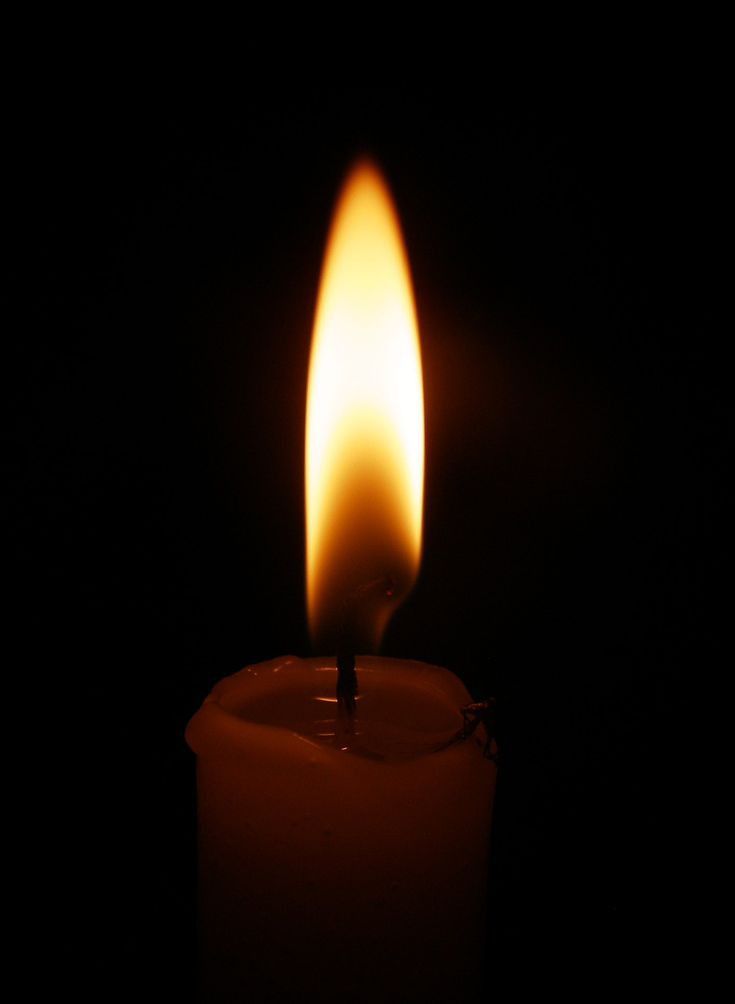 ���� �� ����� �.�.��������